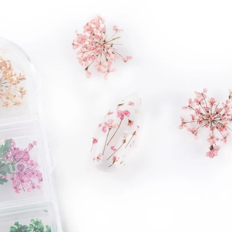 DECORACIÓN PARA UÑAS FLORES SECAS