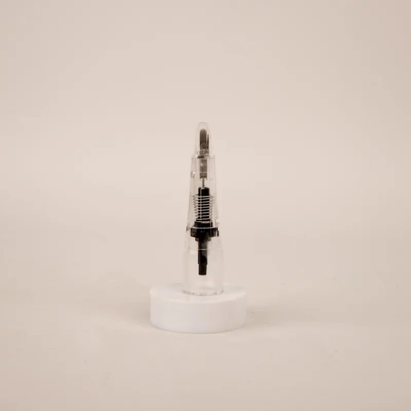 AGUJAS PARA DERMÓGRAFO 10PCS